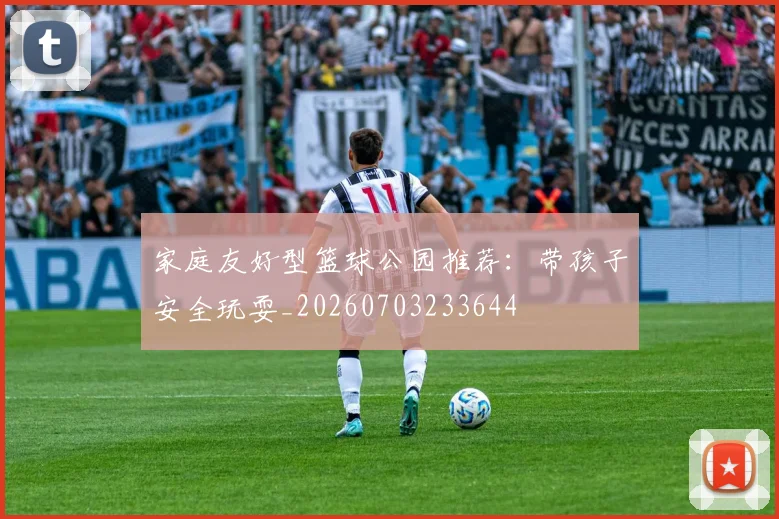 家庭友好型篮球公园推荐:带孩子安全玩耍_20260703233644