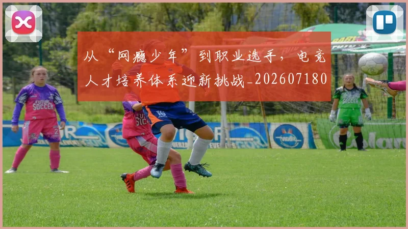 从“网瘾少年”到职业选手,电竞人才培养体系迎新挑战_20260718000220