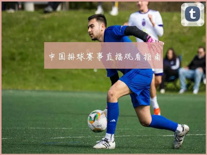 中国排球赛事直播观看指南