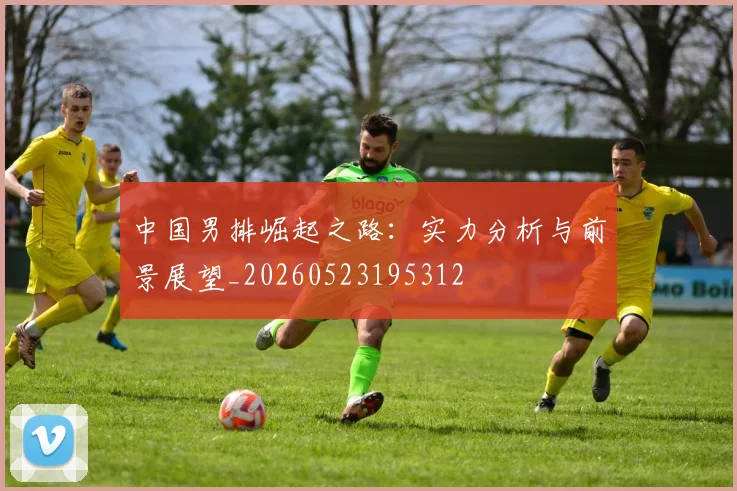 中国男排崛起之路:实力分析与前景展望_20260523195312