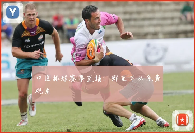中国排球赛事直播：哪里可以免费观看